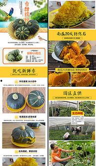 娱乐吃瓜背景模板下载安装,揭秘明星幕后故事，吃瓜群众狂欢时刻